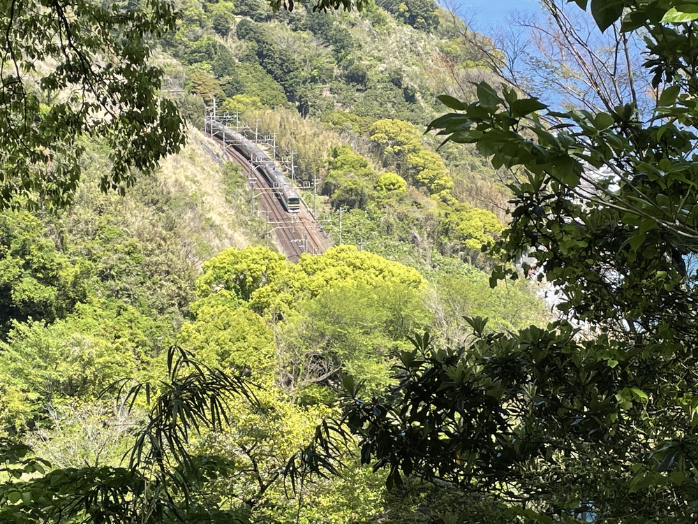 海と蜜柑の丘と撮り鉄とピザの遠足ランの写真10