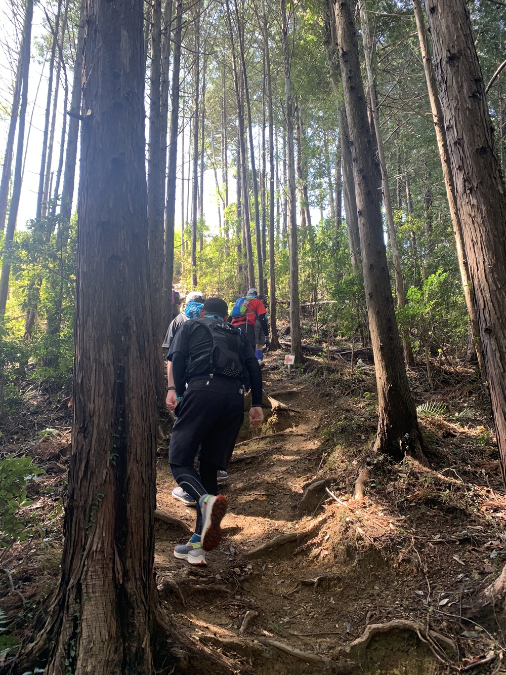 奥武蔵もろやまトレイルラン13kmの写真4