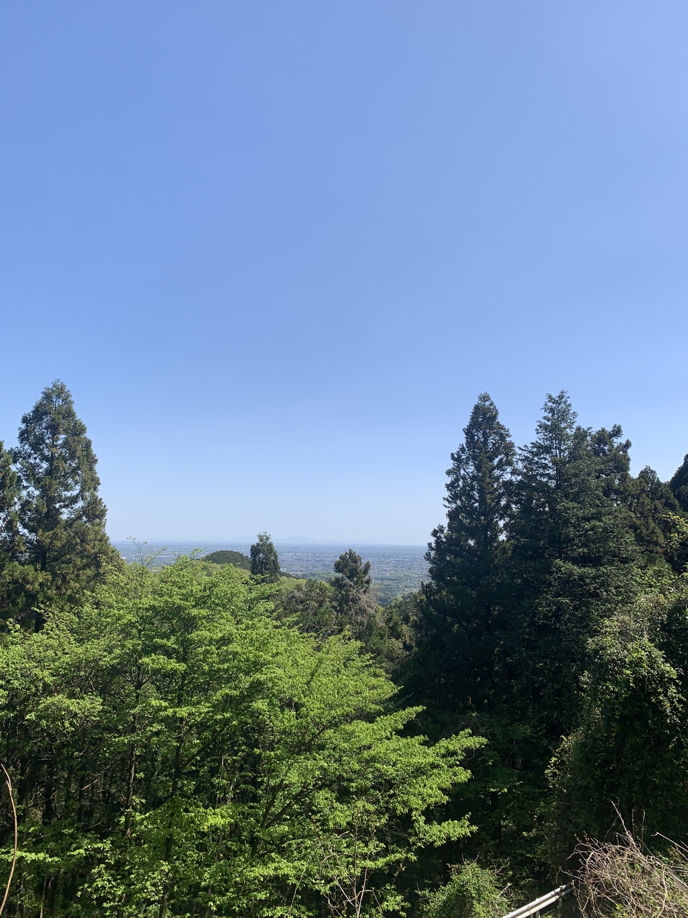 奥武蔵もろやまトレイルラン13kmの写真5