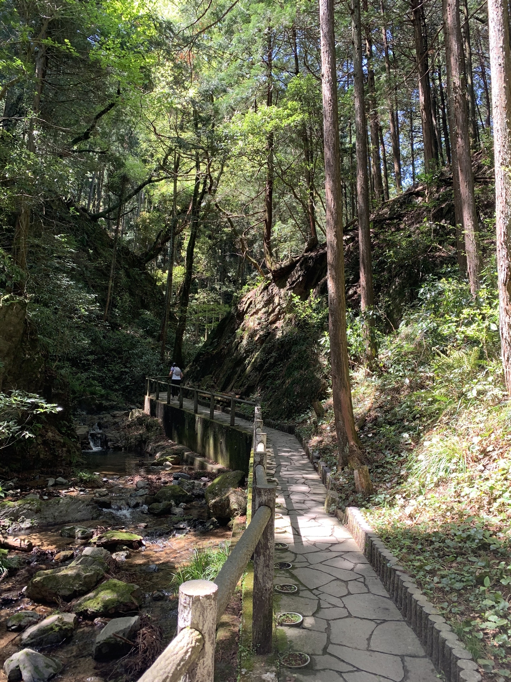 奥武蔵もろやまトレイルラン13kmの写真7