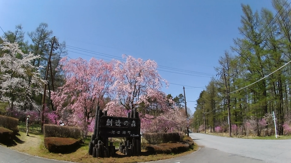 春風香る富士山麓を巡る爽快ランニングの写真7