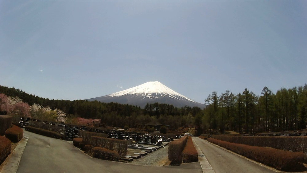 春風香る富士山麓を巡る爽快ランニングの写真8