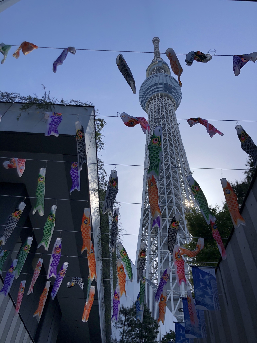 ★お絵描きラン（56）墨田のこいのぼり🎏【墨田区】★の写真3