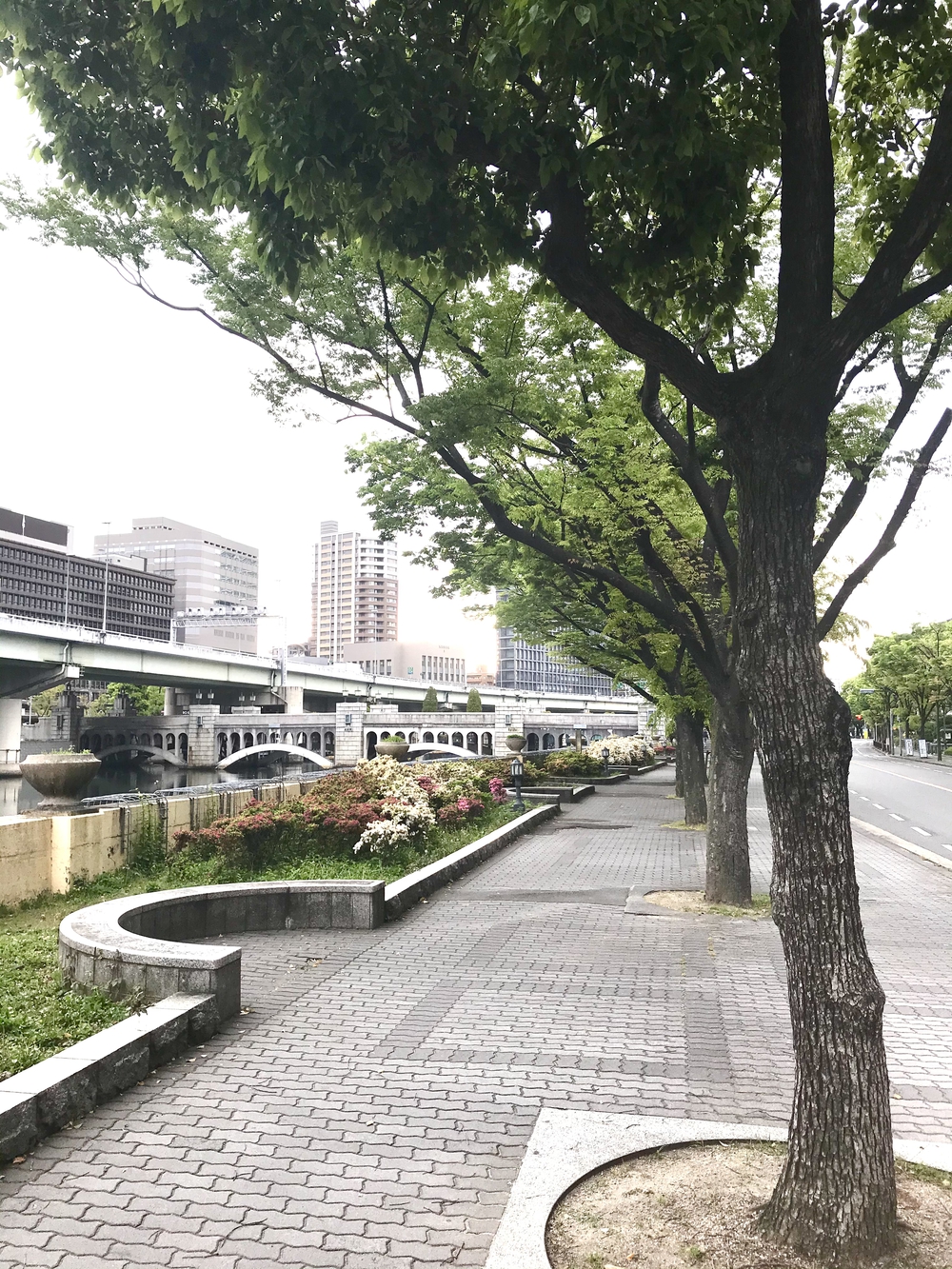 水の街中之島ランの写真3