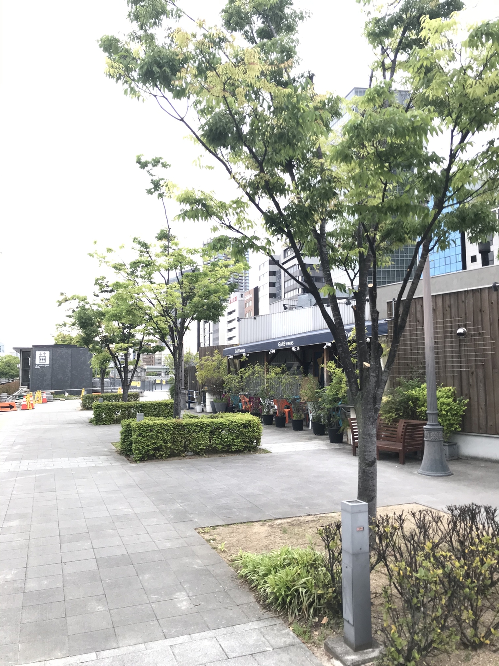 水の街中之島ランの写真5