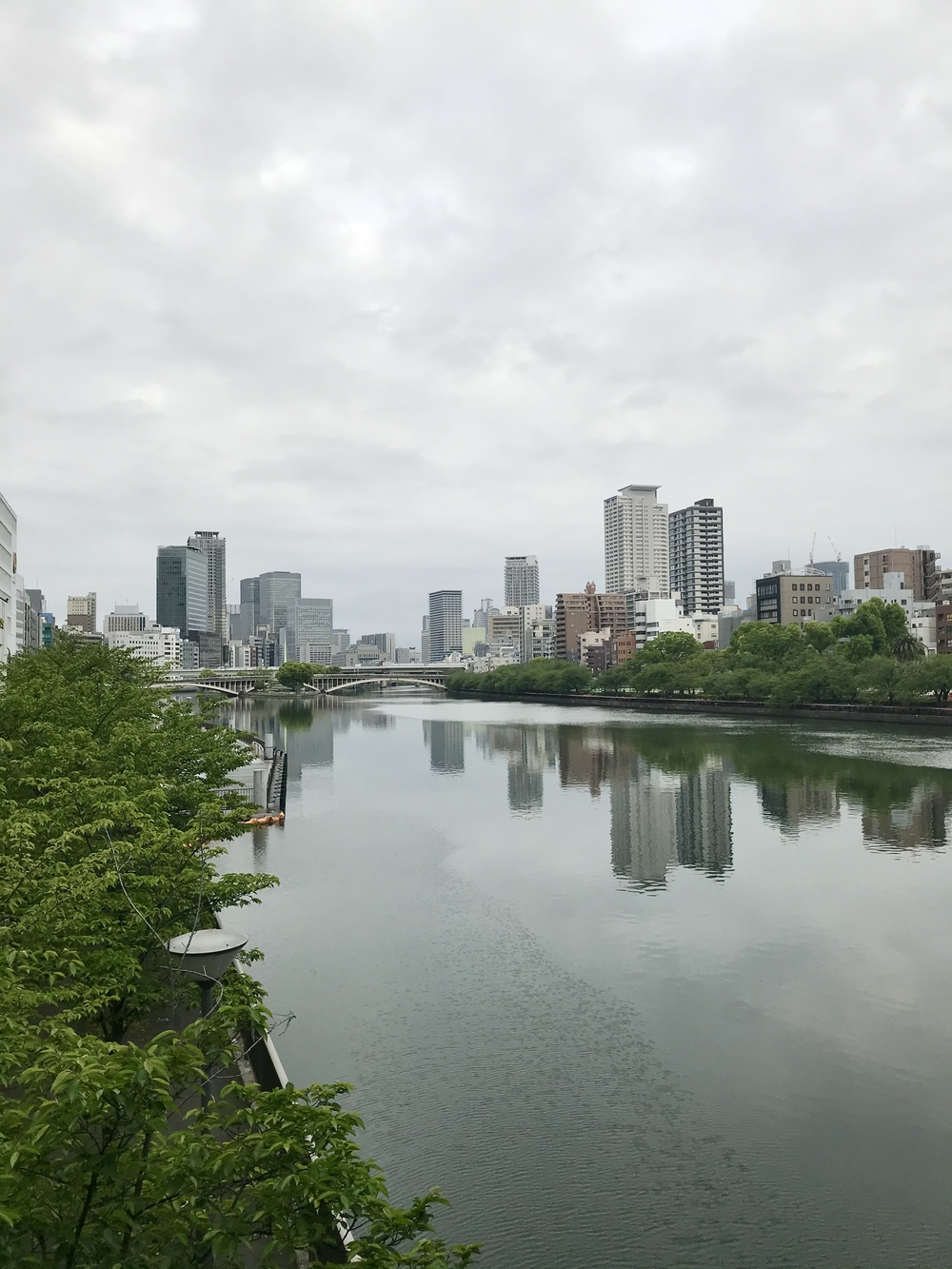 水の街中之島ランの写真7