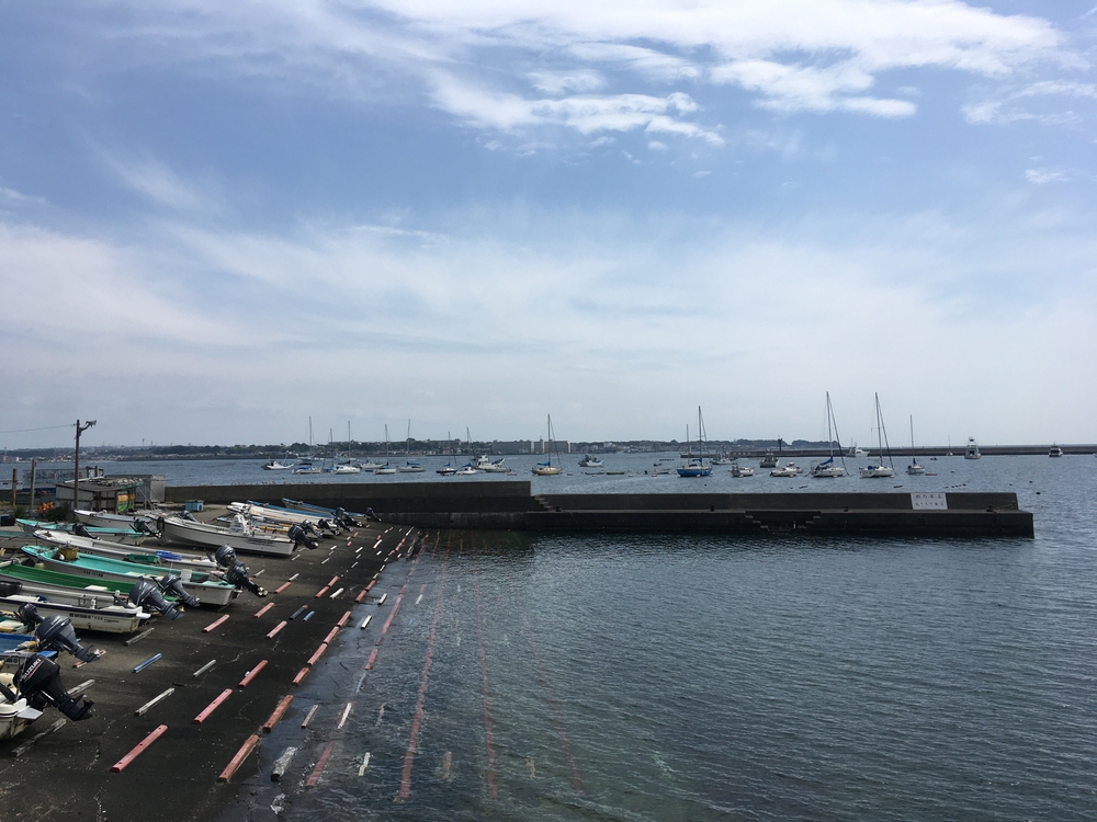 三浦半島の相模湾側🌊の写真3