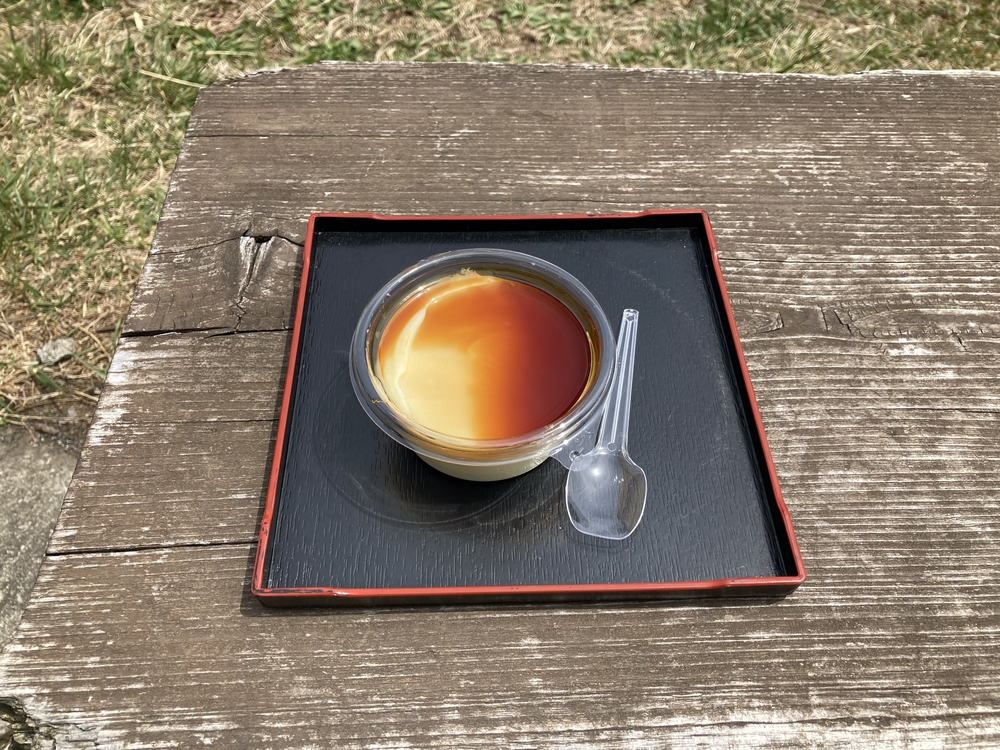 小川町から秩父までの写真10