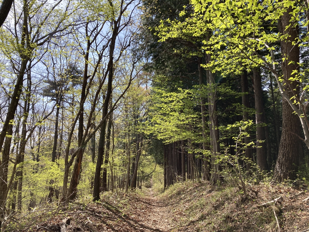 小川町から秩父までの写真12