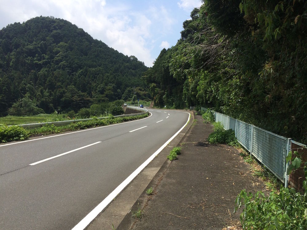 豊かな自然を駆け上れ！足柄峠コース25kmの写真3