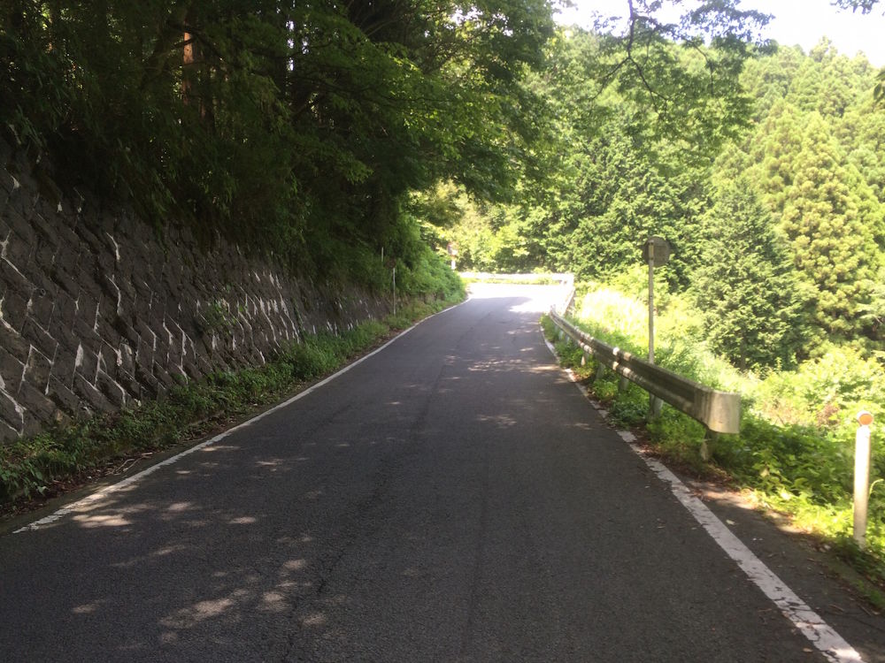 豊かな自然を駆け上れ！足柄峠コース25kmの写真7