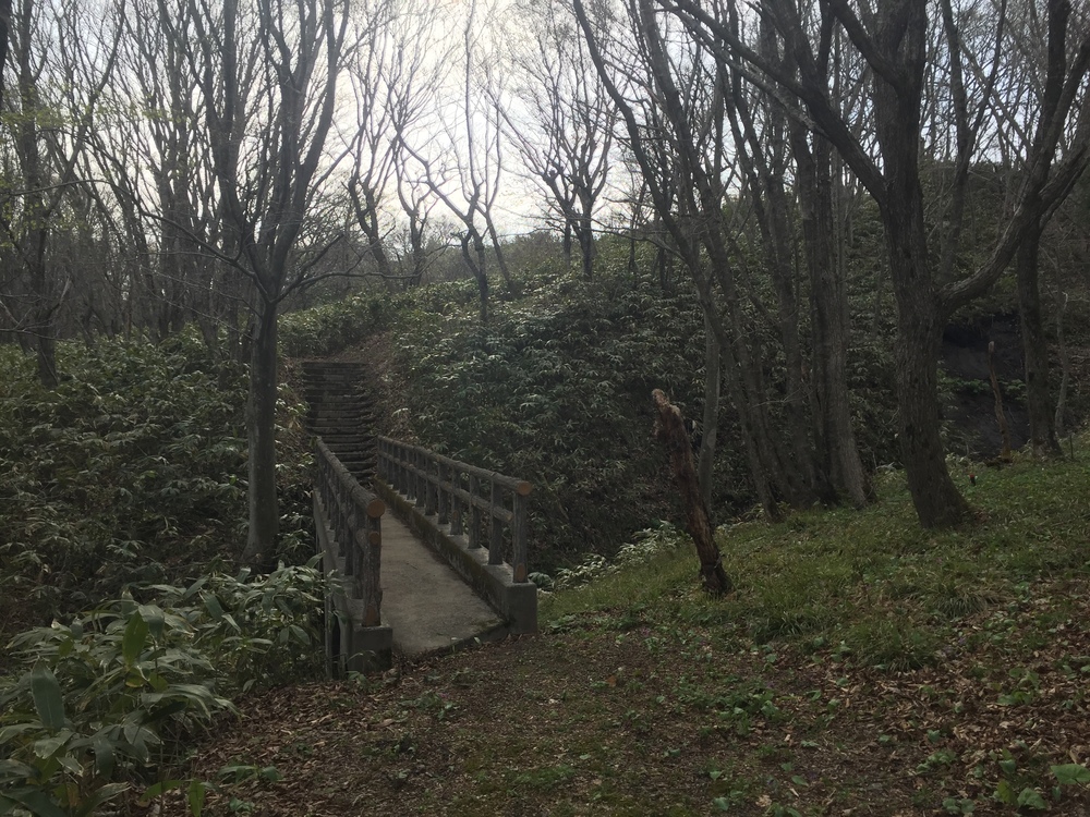 風車と巨大な太陽光パネル一団を背景にここにしかない景観を嗜むの写真3