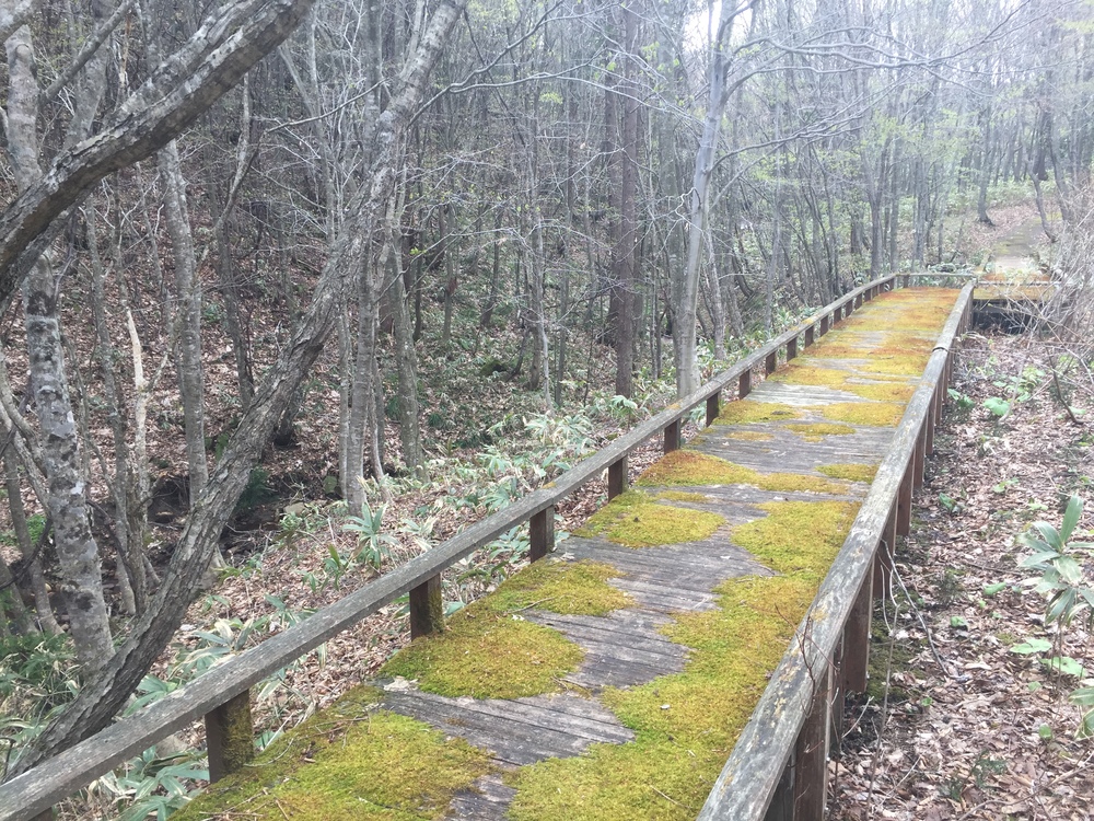 風車と巨大な太陽光パネル一団を背景にここにしかない景観を嗜むの写真4