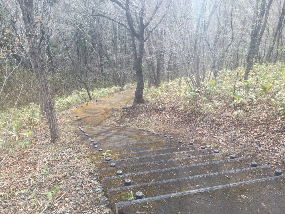 風車と巨大な太陽光パネル一団を背景にここにしかない景観を嗜むの写真5