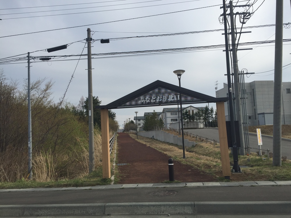 風車と巨大な太陽光パネル一団を背景にここにしかない景観を嗜むの写真9
