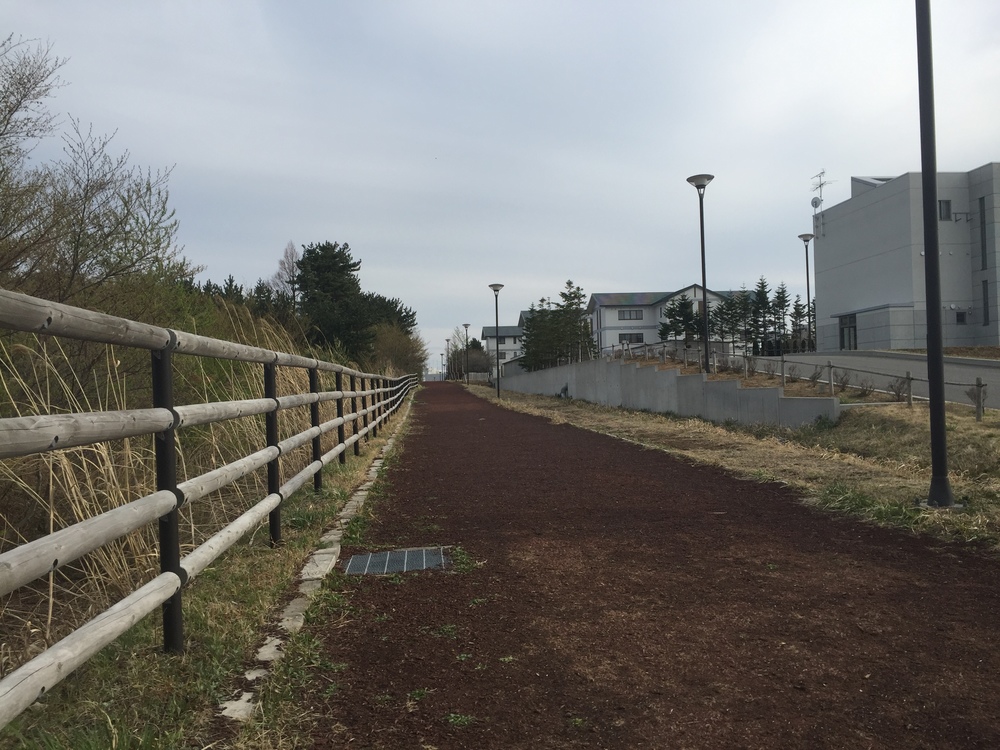 風車と巨大な太陽光パネル一団を背景にここにしかない景観を嗜むの写真10