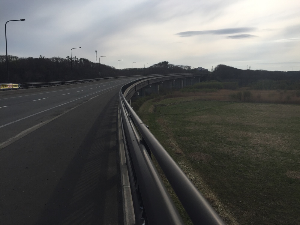 風車と巨大な太陽光パネル一団を背景にここにしかない景観を嗜むの写真11