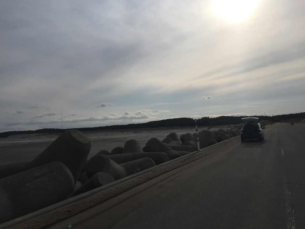 風車と巨大な太陽光パネル一団を背景にここにしかない景観を嗜むの写真13
