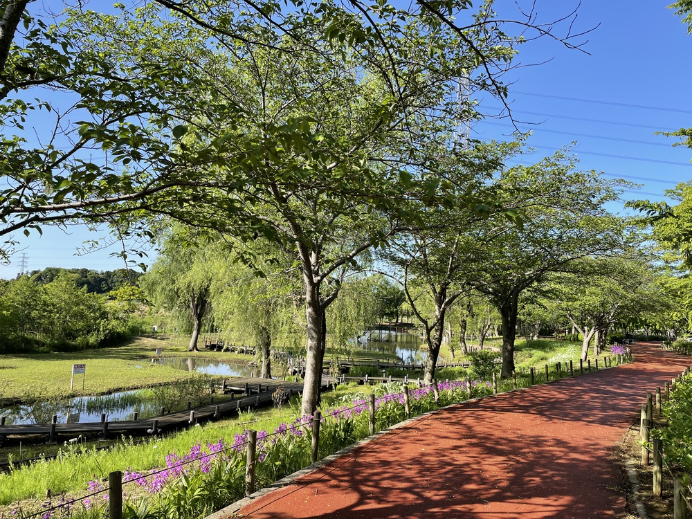 手賀沼一周の写真3