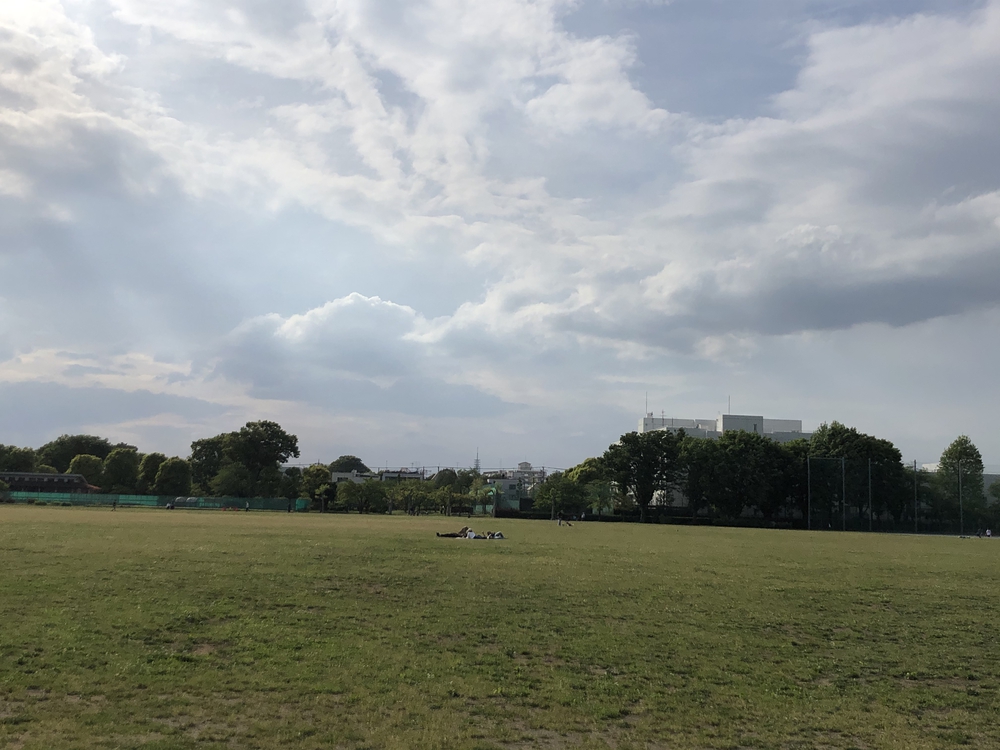 ★お絵描きラン（57）武蔵野市の鯉のぼり🎏【武蔵野市】の写真3