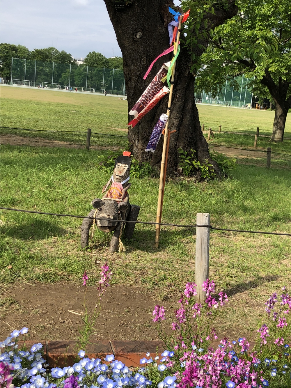 ★お絵描きラン（57）武蔵野市の鯉のぼり🎏【武蔵野市】の写真4