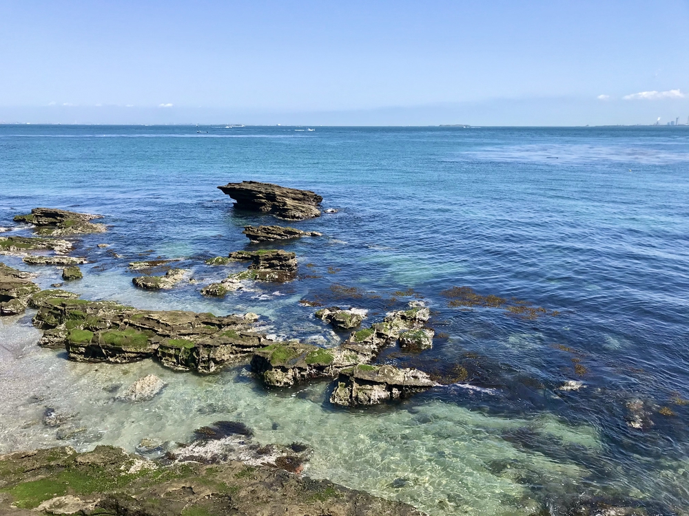 まぼちょくRuntripの写真3