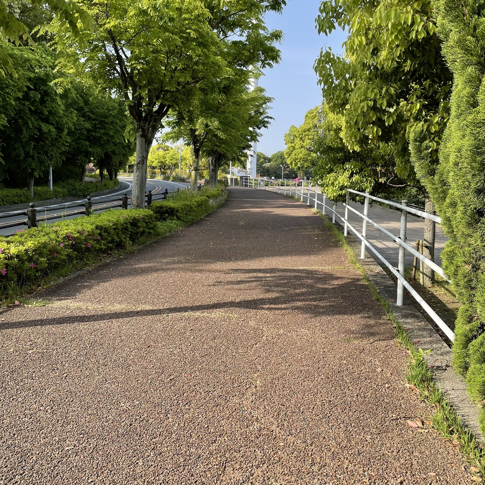 大府駅からあいち健康の森公園まで走ってみたの写真4