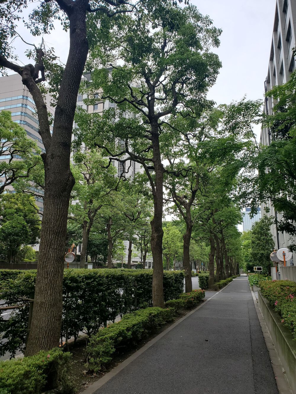 6km周回！芝公園～霞ヶ関官公庁めぐりコースの写真3