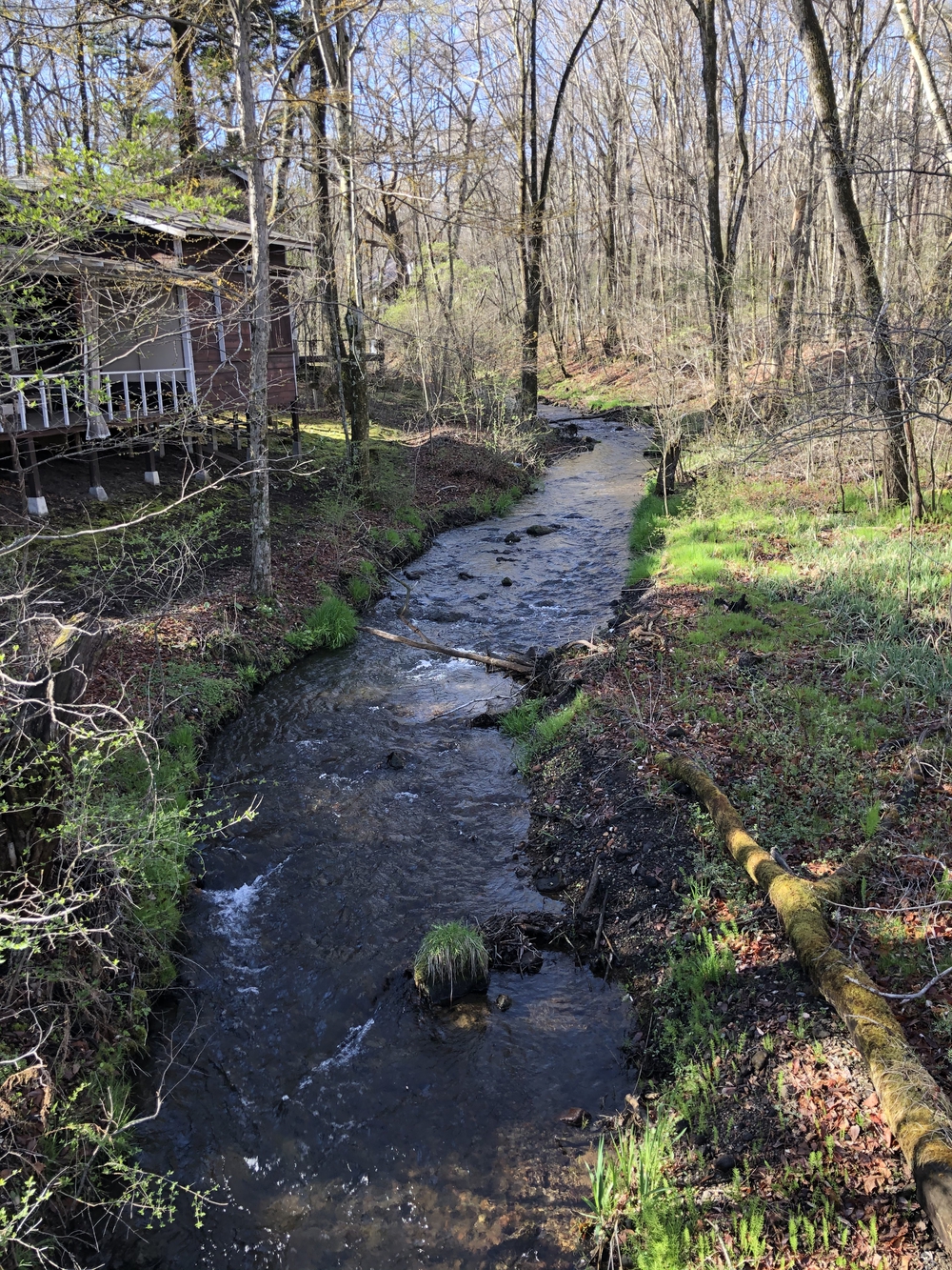 北軽井沢ジョギングコースの写真7