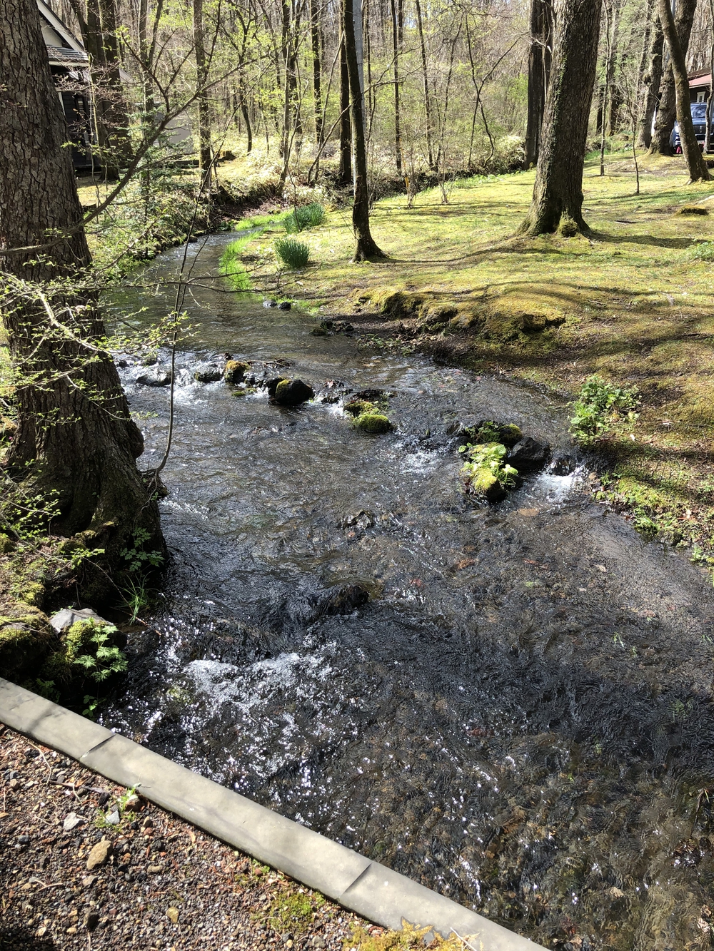 北軽井沢ジョギングコースの写真8