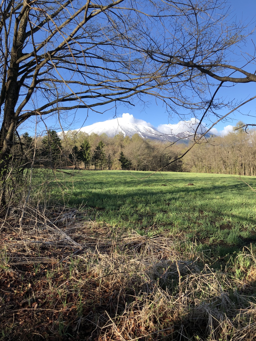 北軽井沢ジョギングコースの写真9