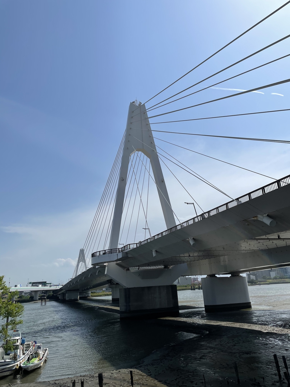 歌川広重と共にRUN 多摩川(川崎〜羽田)の写真4