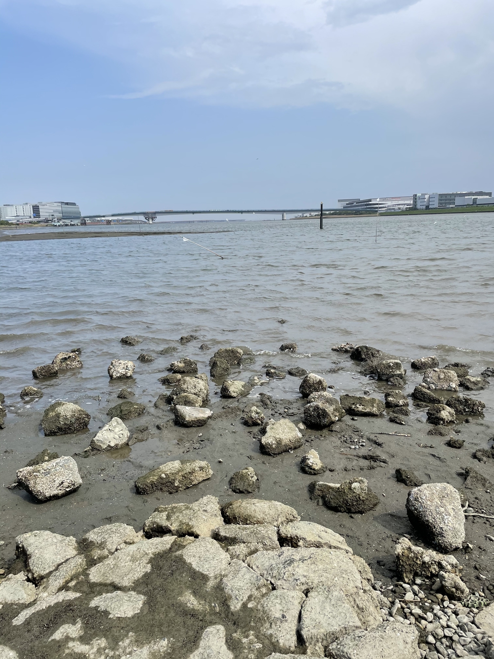 歌川広重と共にRUN 多摩川(川崎〜羽田)の写真5