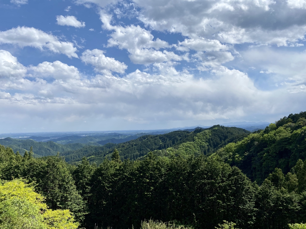 東吾野発　奥武蔵グリーンライン経由一周17kmの写真3