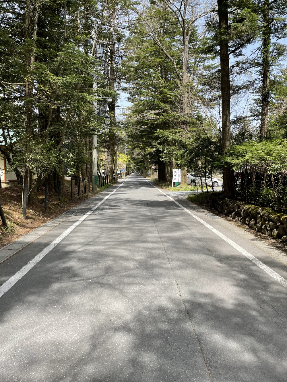 歌川広重と共にRUN 軽井沢の写真3