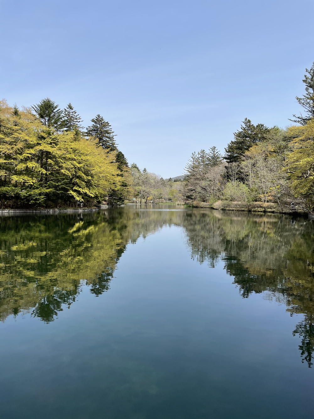 歌川広重と共にRUN 軽井沢の写真4