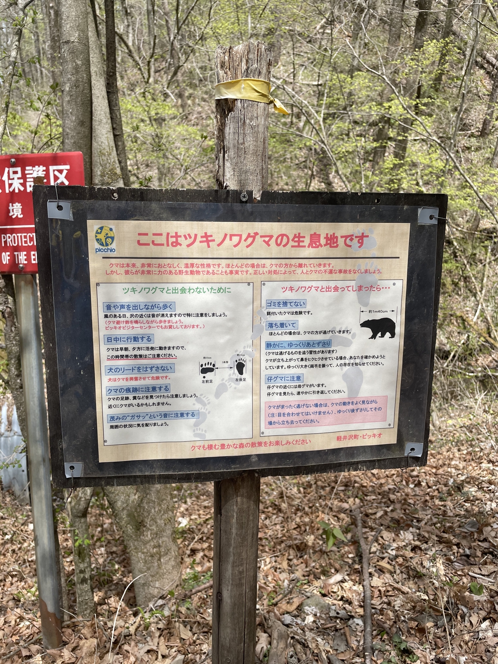 歌川広重と共にRUN 軽井沢の写真7