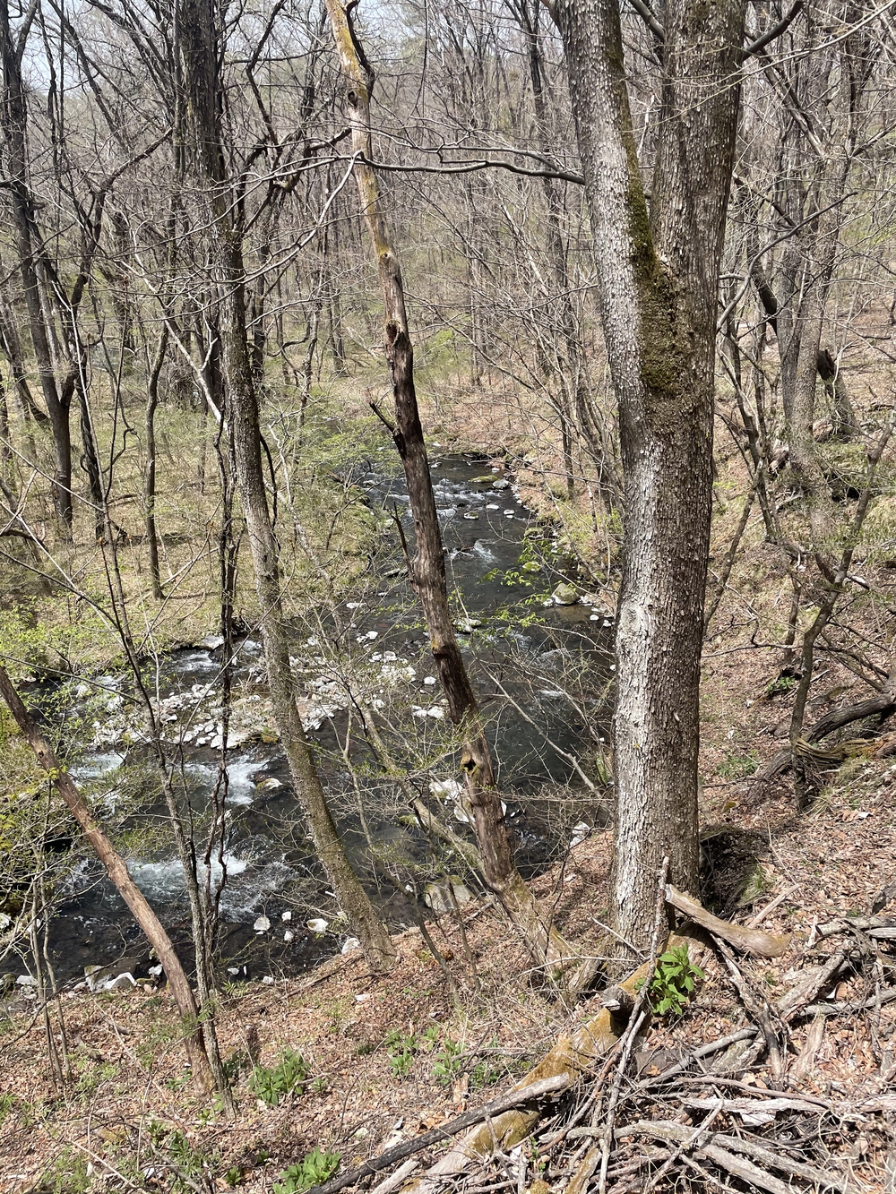 歌川広重と共にRUN 軽井沢の写真8