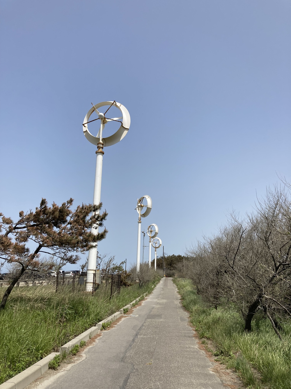 新潟島ぐるっと一周の写真5