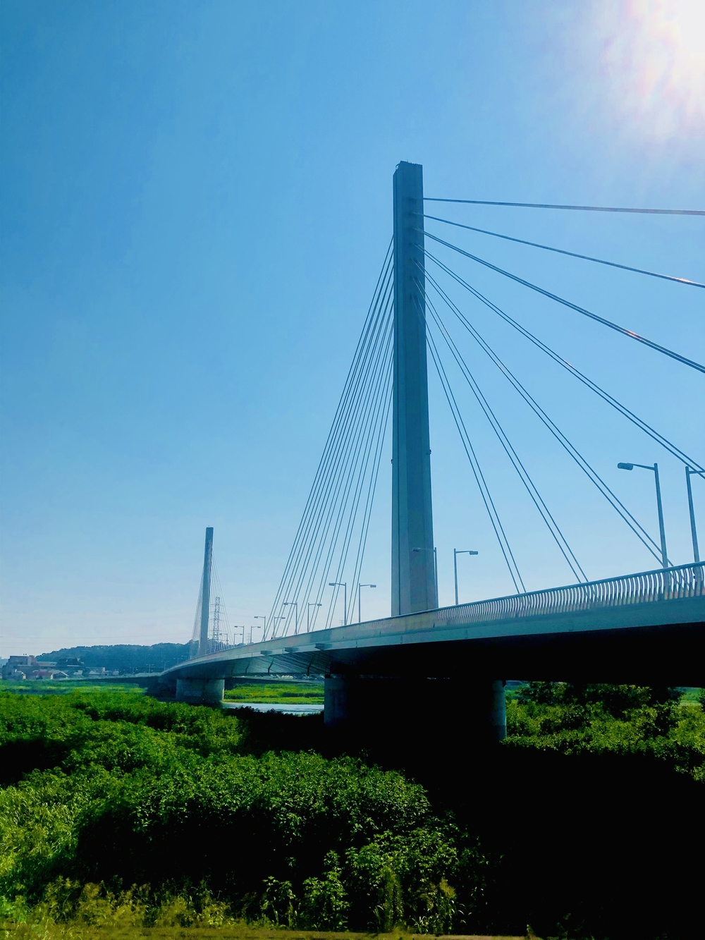 羽羽羽ロング走54キロの写真6