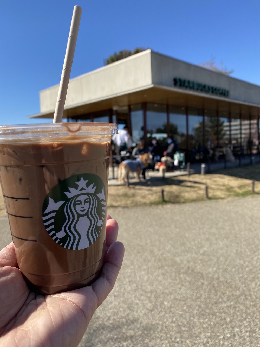 羽羽羽ロング走54キロの写真8