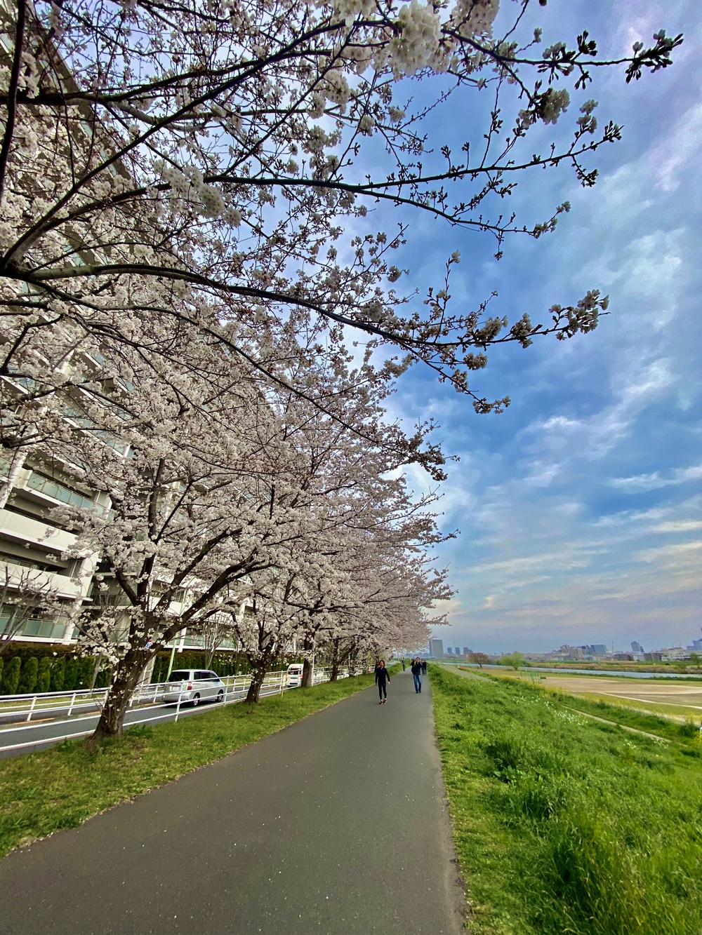 羽羽羽ロング走54キロの写真10