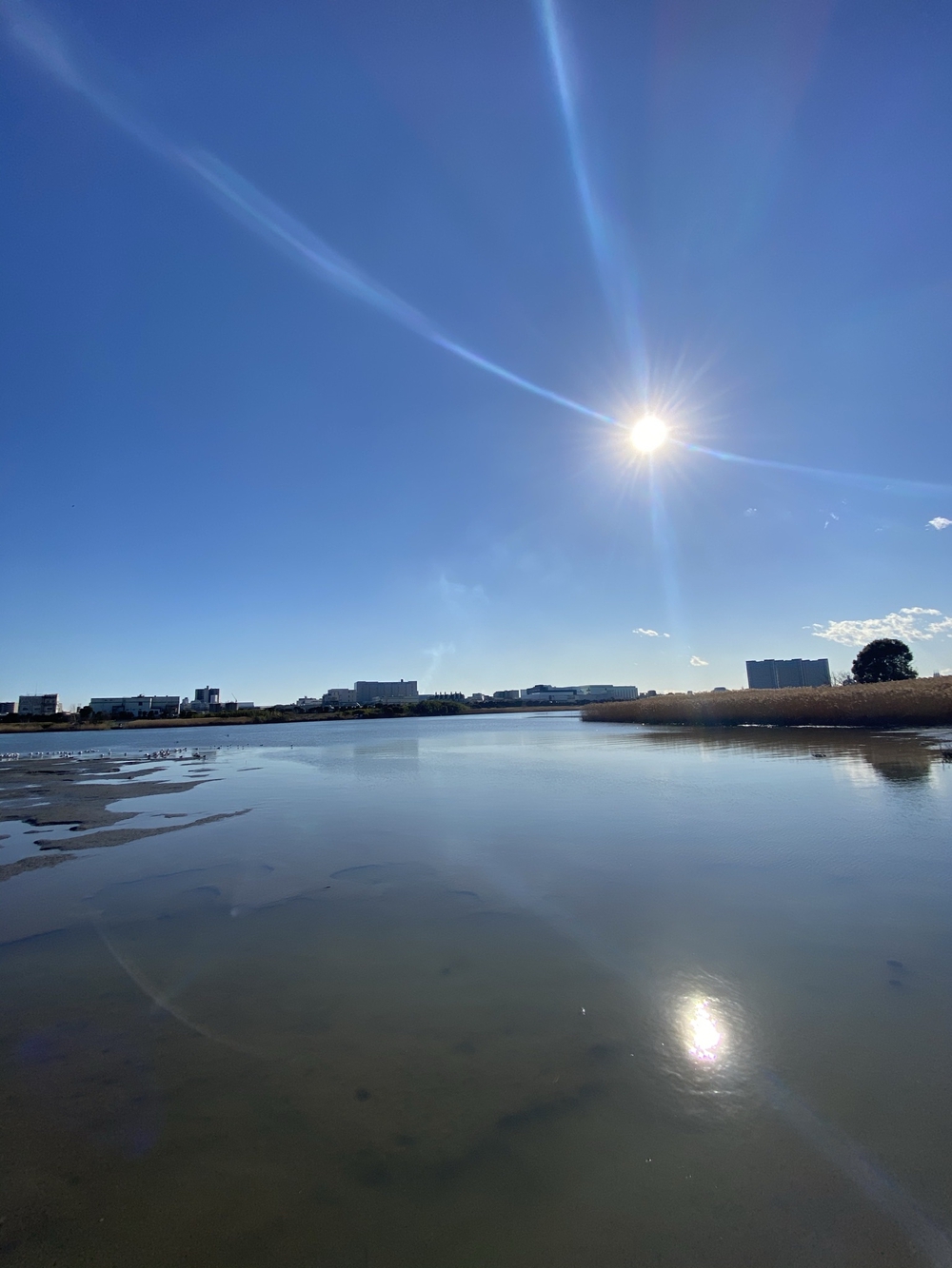 羽羽羽ロング走54キロの写真14