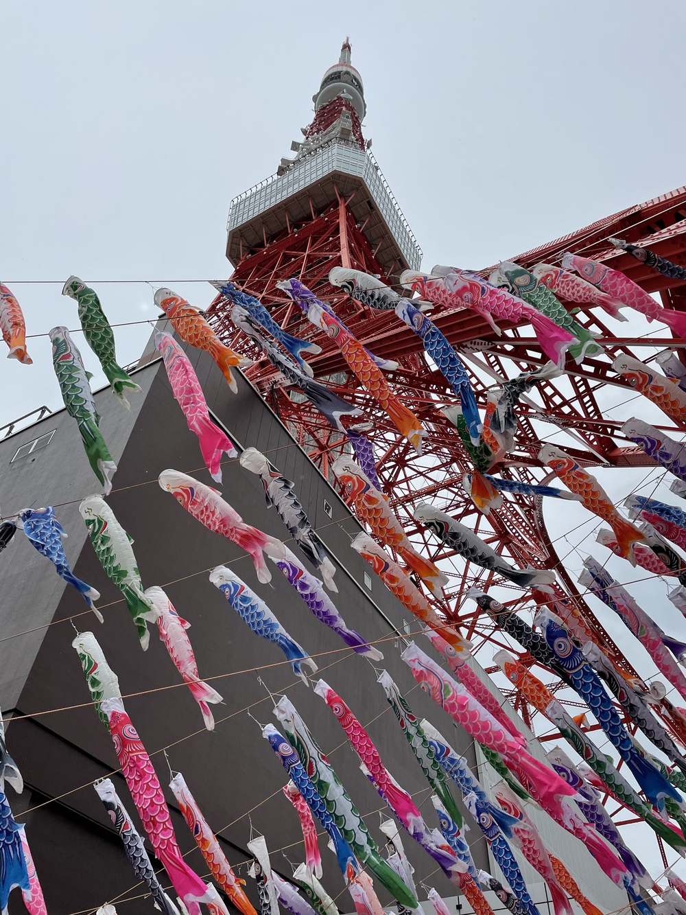 歌川広重と共にRUN 東京タワー〜水道橋の写真3