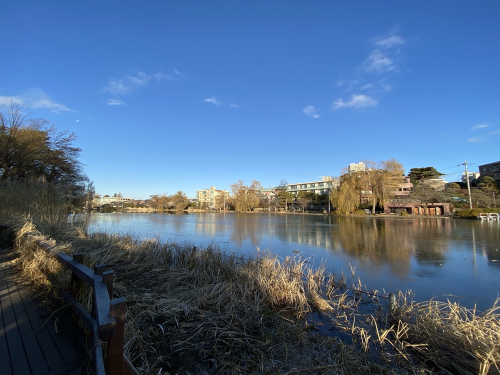 武蔵野4湖(池)を巡る24キロの写真3