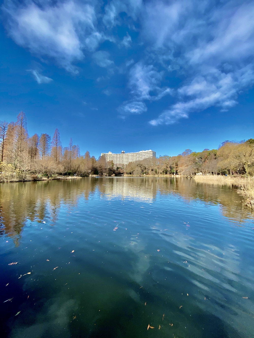 武蔵野4湖(池)を巡る24キロの写真5