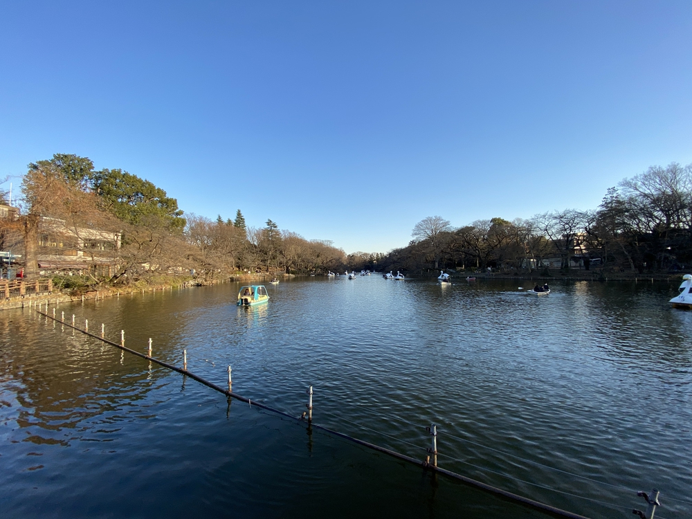 武蔵野4湖(池)を巡る24キロの写真6