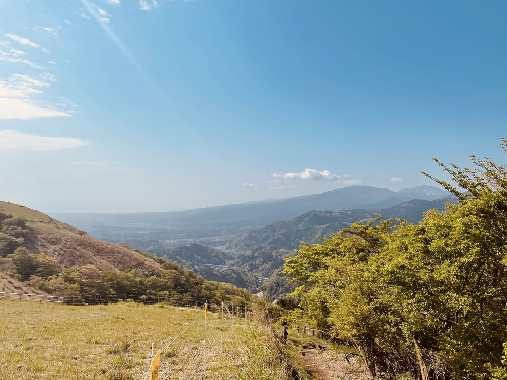 河村城址公園〜大野山〜谷峨〜山北町の写真3