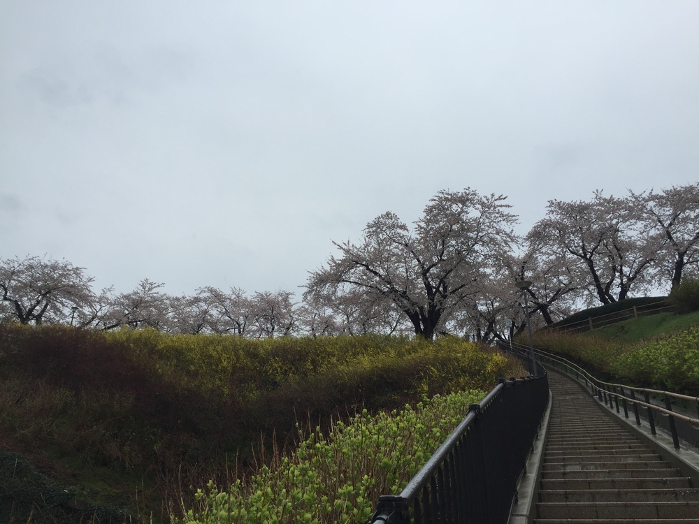 グレットタワーみなとを中心とした人情とレトロが織りなす懐古な回路の写真4