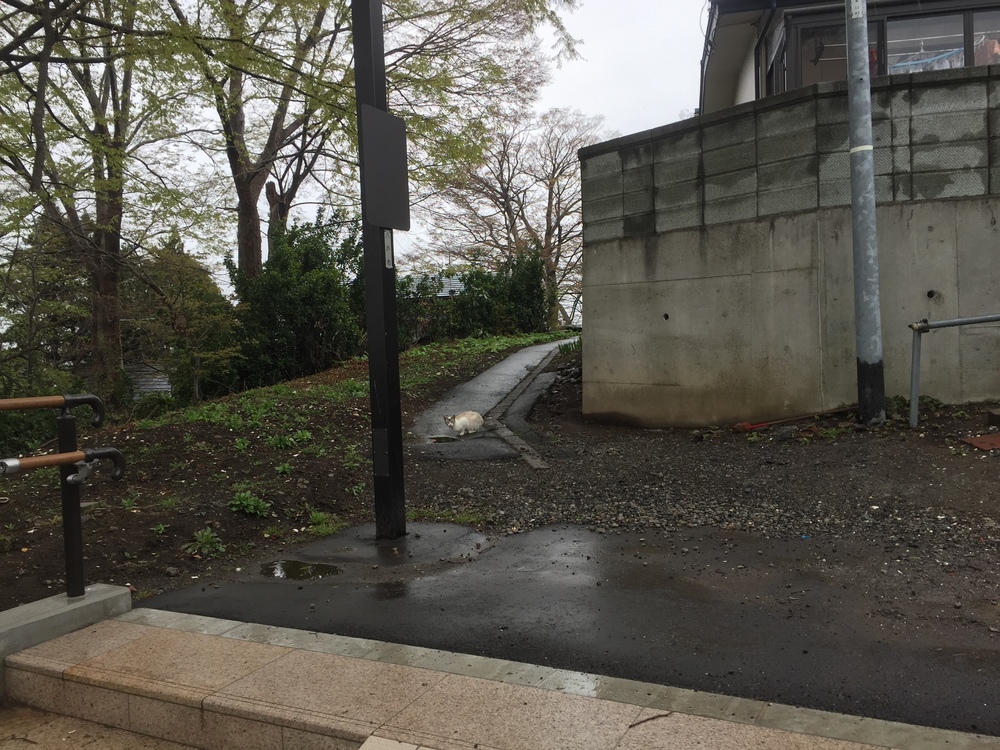 グレットタワーみなとを中心とした人情とレトロが織りなす懐古な回路の写真20